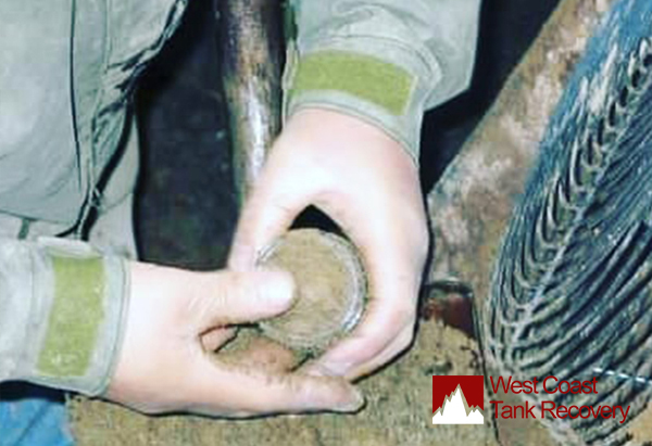 Soil-Testing-in-BC-How-Its-Done-and-What-Standards-You-Should-Know